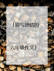 描写感情的六年级作文