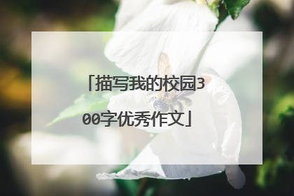 描写我的校园300字优秀作文