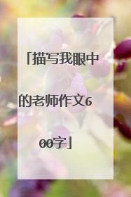 描写我眼中的老师作文600字