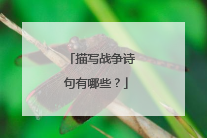 描写战争诗句有哪些？