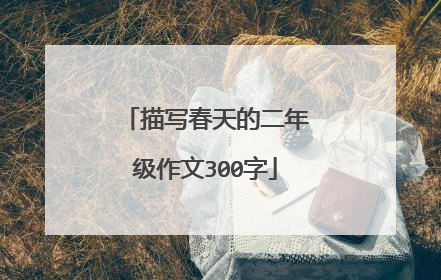 描写春天的二年级作文300字
