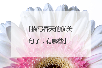 描写春天的优美句子,有哪些