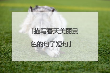 描写春天美丽景色的句子短句