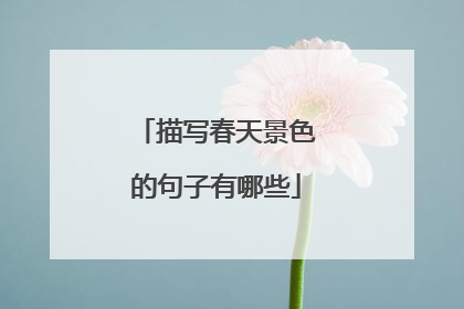 描写春天景色的句子有哪些