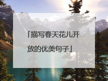 描写春天花儿开放的优美句子