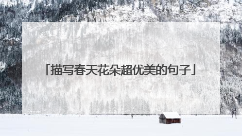 描写春天花朵超优美的句子