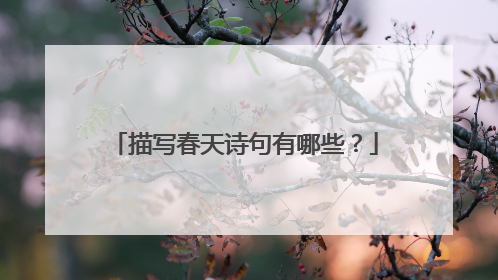 描写春天诗句有哪些？