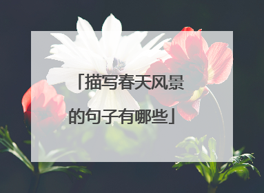 描写春天风景的句子有哪些