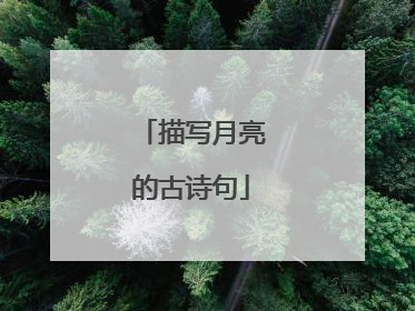 描写月亮的古诗句