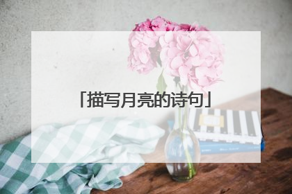描写月亮的诗句