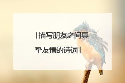 描写朋友之间真挚友情的诗词