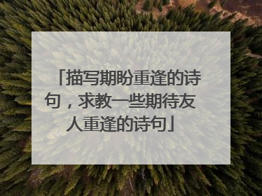 描写期盼重逢的诗句，求教一些期待友人重逢的诗句