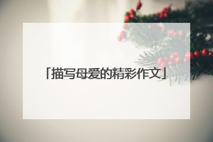 描写母爱的精彩作文