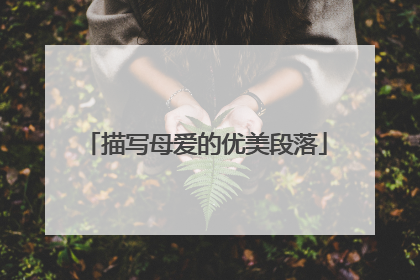 描写母爱的优美段落