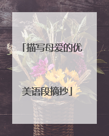 描写母爱的优美语段摘抄
