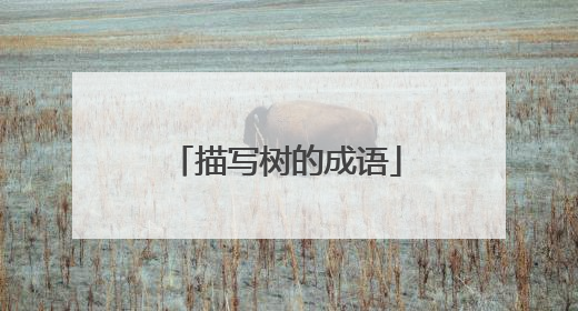 描写树的成语