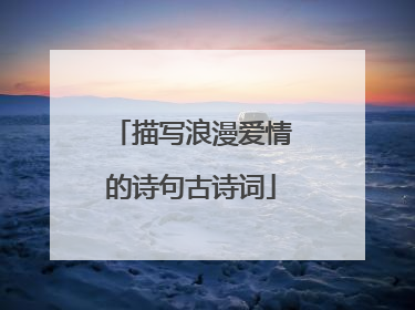 描写浪漫爱情的诗句古诗词