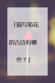 描写菊花的古诗有哪些？
