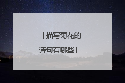 描写菊花的诗句有哪些