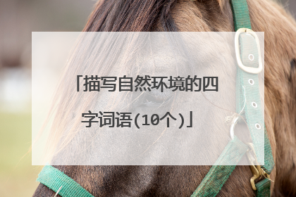 描写自然环境的四字词语(10个)