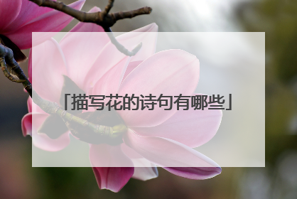 描写花的诗句有哪些