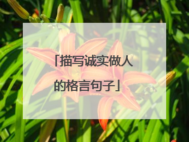 描写诚实做人的格言句子