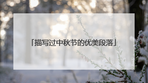 描写过中秋节的优美段落