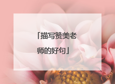 描写赞美老师的好句