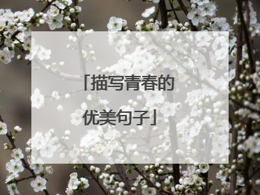 描写青春的优美句子