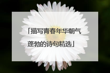 描写青春年华朝气蓬勃的诗句精选