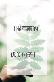 描写雨的优美句子