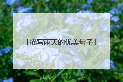 描写雨天的优美句子