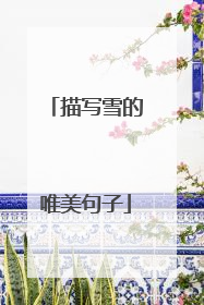 描写雪的唯美句子