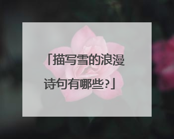 描写雪的浪漫诗句有哪些?