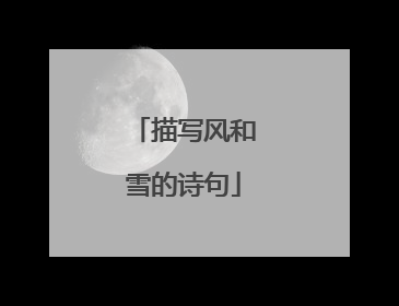 描写风和雪的诗句