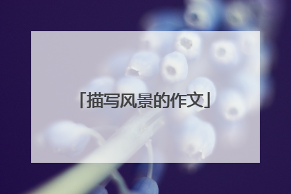 描写风景的作文