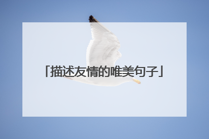 描述友情的唯美句子