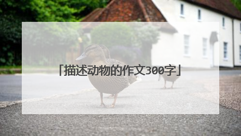 描述动物的作文300字