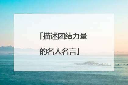 描述团结力量的名人名言