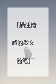 描述情感的散文随笔