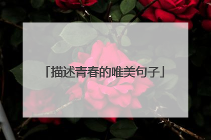 描述青春的唯美句子