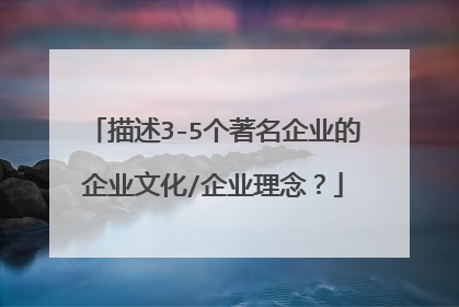 描述3-5个著名企业的企业文化/企业理念？