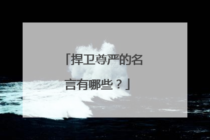 捍卫尊严的名言有哪些？