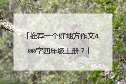 推荐一个好地方作文400字四年级上册？