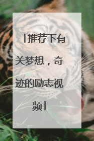 推荐下有关梦想,奇迹的励志视频