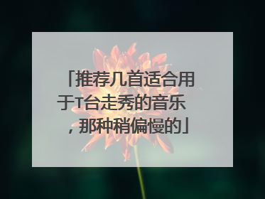 推荐几首适合用于T台走秀的音乐,那种稍偏慢的