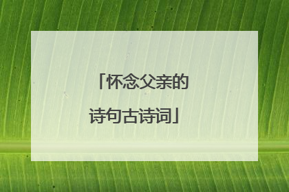 怀念父亲的诗句古诗词