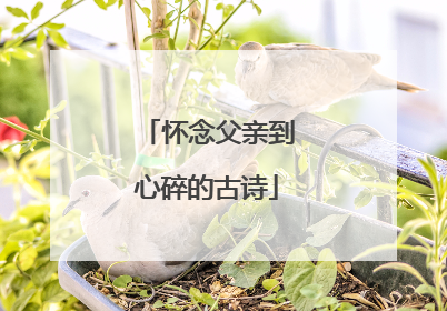 怀念父亲到心碎的古诗