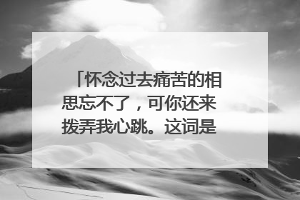 怀念过去痛苦的相思忘不了,可你还来拨弄我心跳。这词是哪首歌里面的!