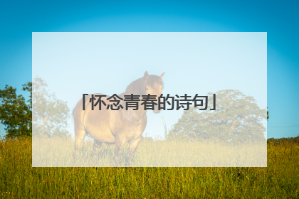 怀念青春的诗句
